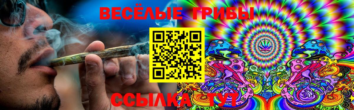 Галлюциногенные грибы Cubensis  Вход с VPN  Орск 