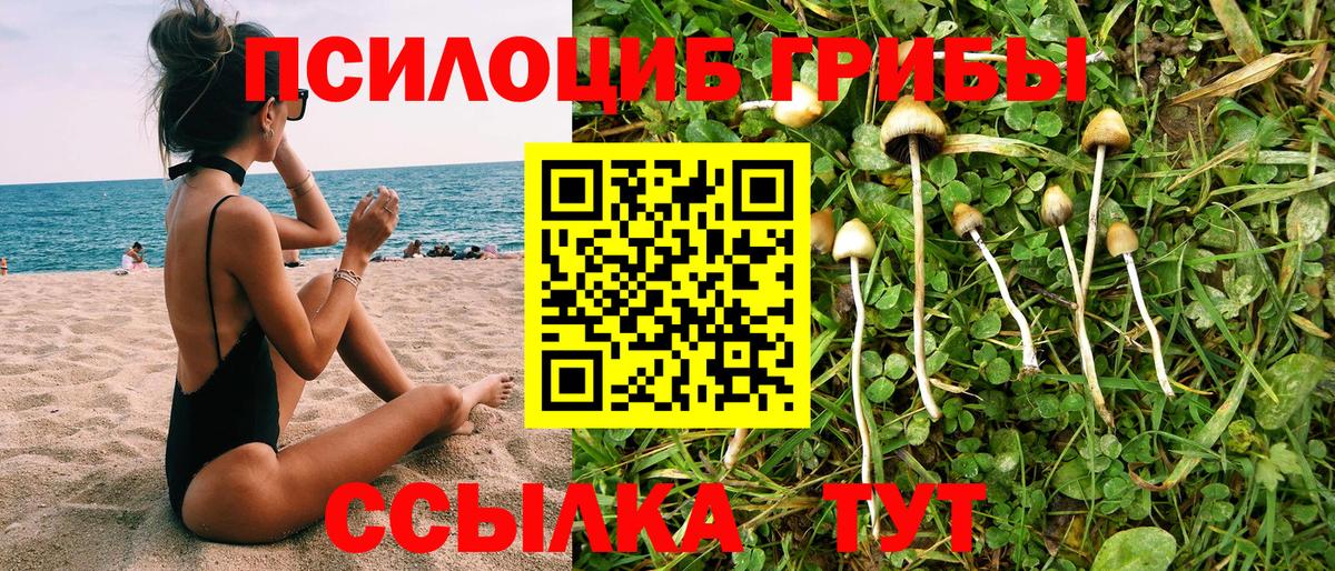 Псилоцибиновые грибы GOLDEN TEACHER Орск