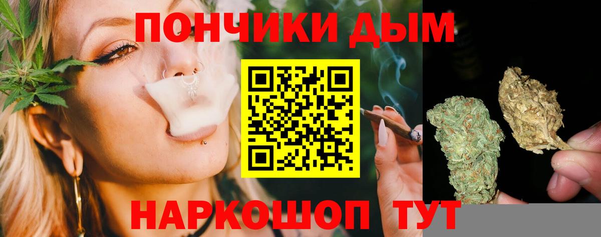 Орск  Шишки марихуана план  Вход с VPN  Шишки марихуана Bruce Banner  МАРИХУАНА LSD WEED 